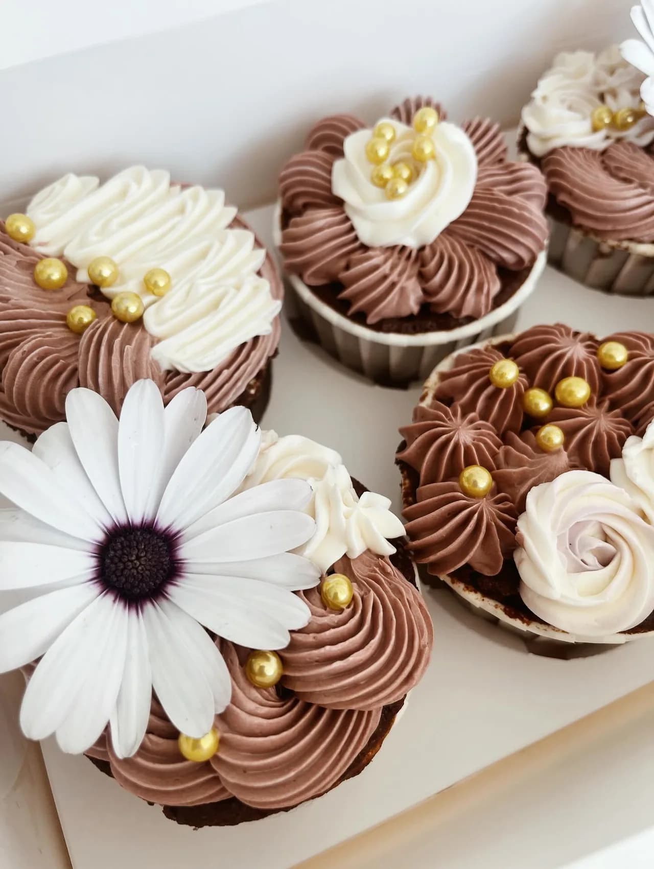 Cupcakes de chocolate em caixa